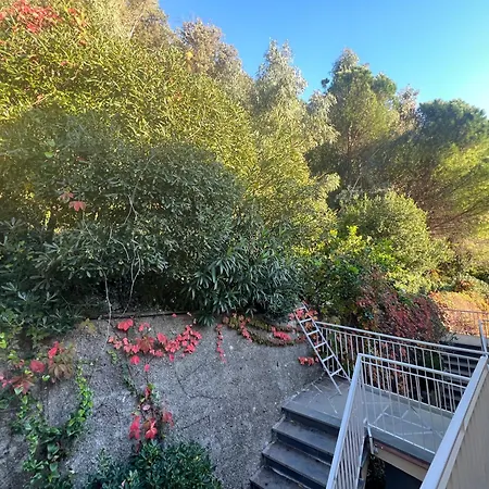 House Agave By World