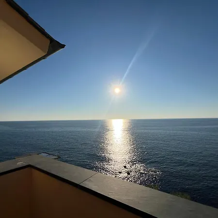 House Agave By World Moneglia